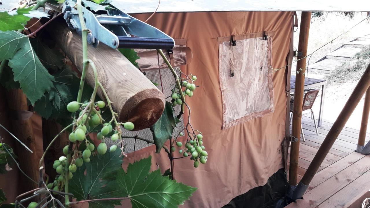 Campo Agave Luxury Tents Sayalonga Exterior foto